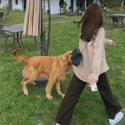 地狱之家